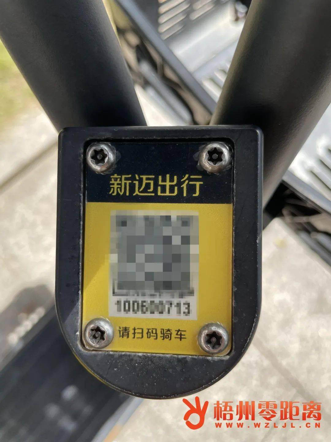 安装程序教程！普通牌分析仪裤子,推荐6个购买渠道
