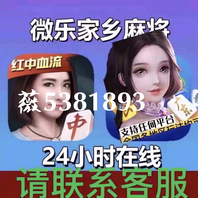 玩家必备教程小程序微乐麻将开挂工具下载”详细教程辅助工具