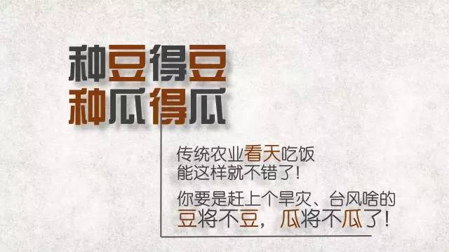 5分钟教会你“陕西三代怎么打老是赢!其实确实有挂