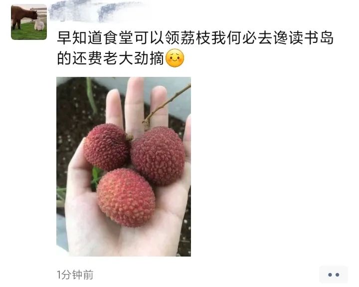 今日重大通报“荔枝竞技到底要怎么开挂”(必胜开挂神器)一知乎 