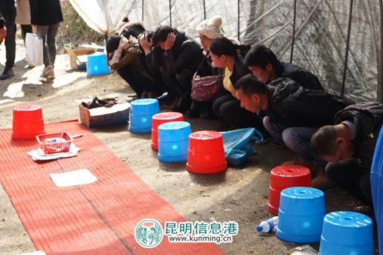 一分钟教你“瓷碗里面的鱼虾蟹点数有什么仪器可以看吗《详细教程 新浪科技》