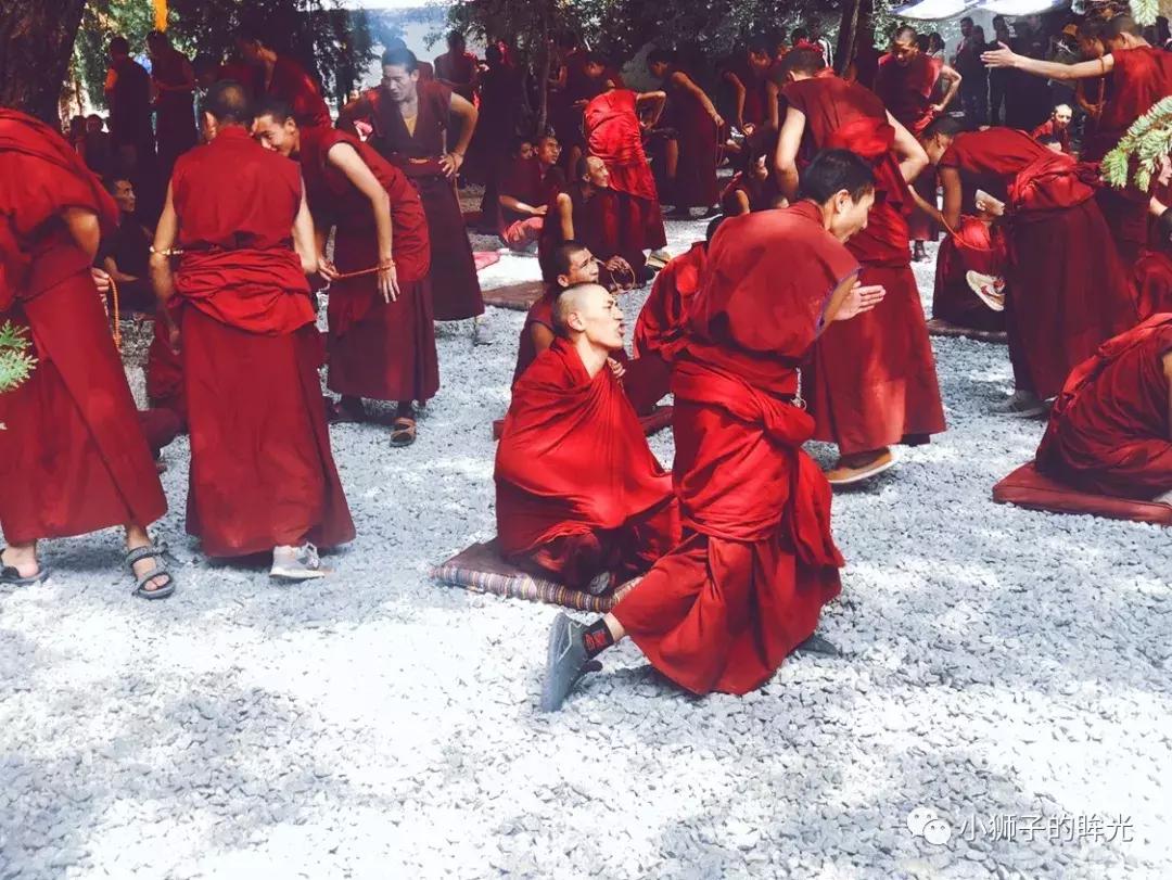 财神十三张如何提高胜率(揭秘手机上提高胜率)