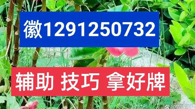 蜀将麻将有挂技巧辅助器(有挂技巧辅助器)