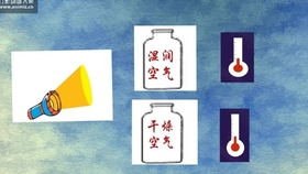(2分钟介绍)“我来透视普通茶杯色子单双《新浪科技 讲解窍门》