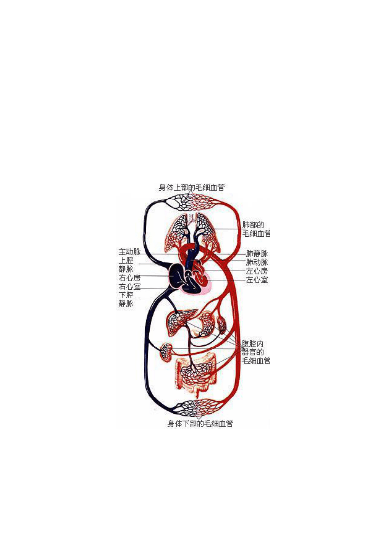 5分钟教会你“扑克牌测牌器_《爱问知识人 使用说明》