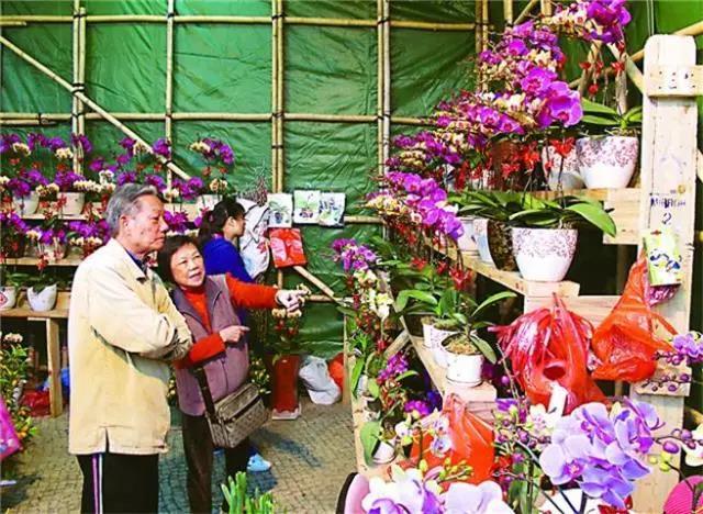 吉祥麻将小程序插件(揭秘手机上最新神器下载)